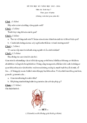 Đề thi học kì I năm học 2015 - 2016 môn thi sinh học 7 thời gian 45 phút